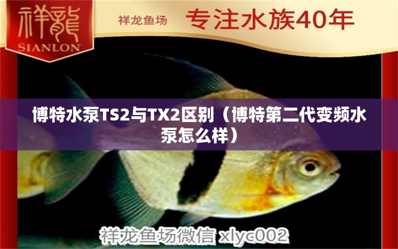 博特水泵TS2與TX2區(qū)別（博特第二代變頻水泵怎么樣）