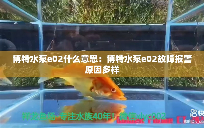 博特水泵e02什么意思：博特水泵e02故障報警原因多樣 博特水族 第2張