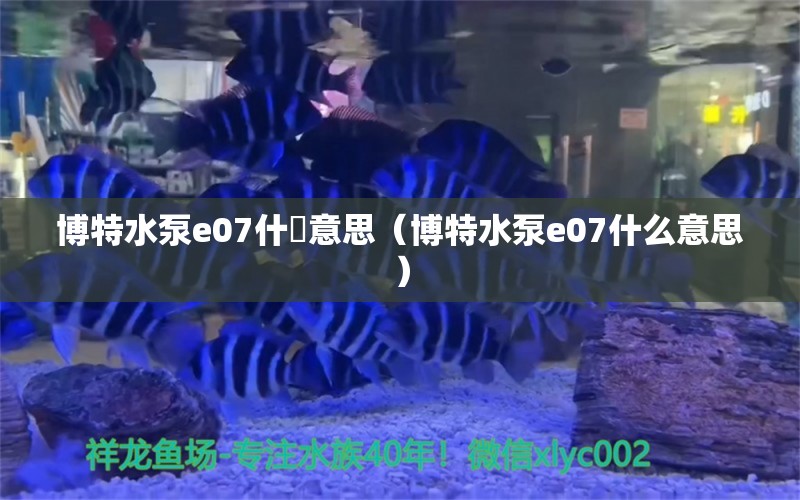 博特水泵e07什黱意思（博特水泵e07什么意思）