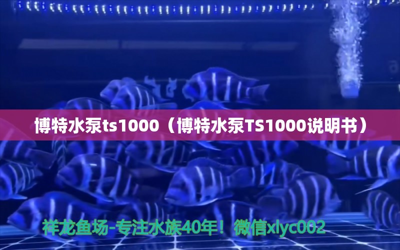 博特水泵ts1000（博特水泵TS1000說明書） 博特水族