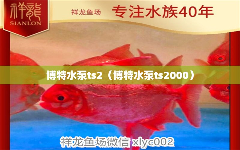 博特水泵ts2（博特水泵ts2000）