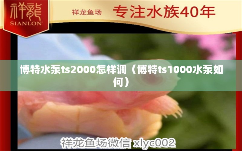 博特水泵ts2000怎樣調(diào)（博特ts1000水泵如何）