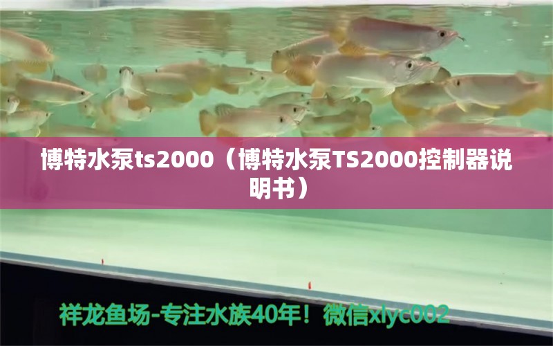 博特水泵ts2000（博特水泵TS2000控制器說明書）