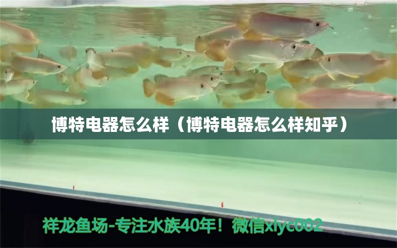 博特電器怎么樣（博特電器怎么樣知乎） 博特水族