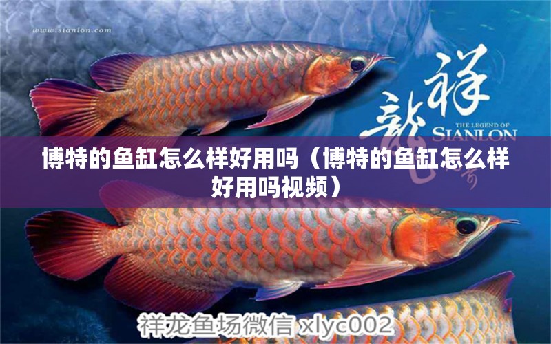 博特的魚缸怎么樣好用嗎（博特的魚缸怎么樣好用嗎視頻）