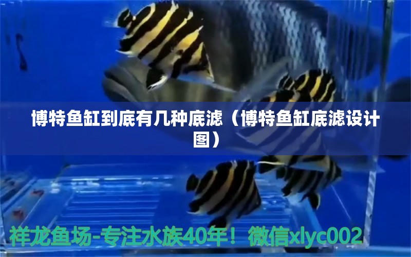 博特魚缸到底有幾種底濾（博特魚缸底濾設計圖） 博特水族