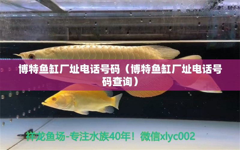 博特魚(yú)缸廠址電話號(hào)碼（博特魚(yú)缸廠址電話號(hào)碼查詢(xún)）