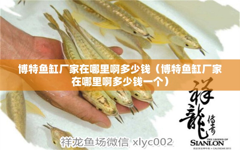 博特魚(yú)缸廠家在哪里啊多少錢(qián)（博特魚(yú)缸廠家在哪里啊多少錢(qián)一個(gè)）