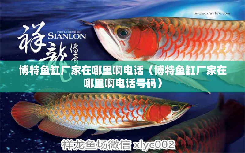 博特魚缸廠家在哪里啊電話（博特魚缸廠家在哪里啊電話號碼） 博特水族