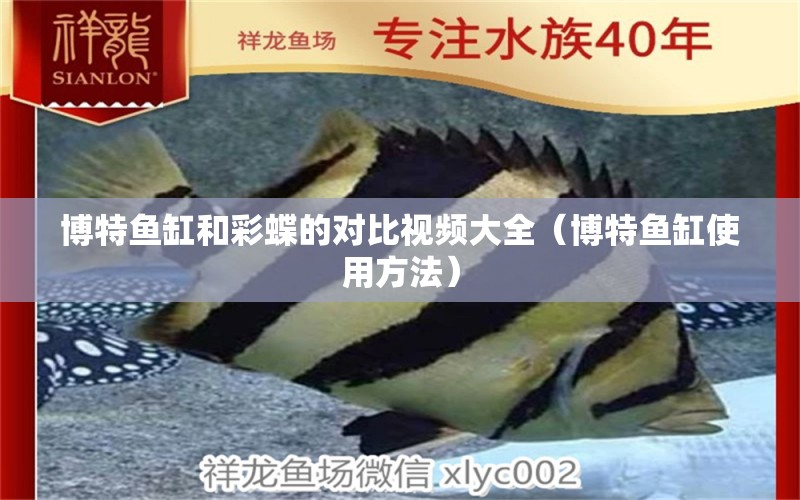 博特魚缸和彩蝶的對(duì)比視頻大全（博特魚缸使用方法）