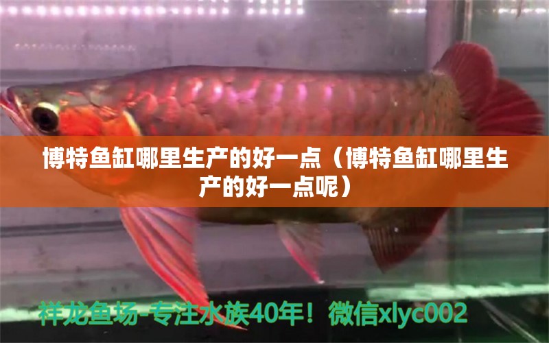 博特魚(yú)缸哪里生產(chǎn)的好一點(diǎn)（博特魚(yú)缸哪里生產(chǎn)的好一點(diǎn)呢）