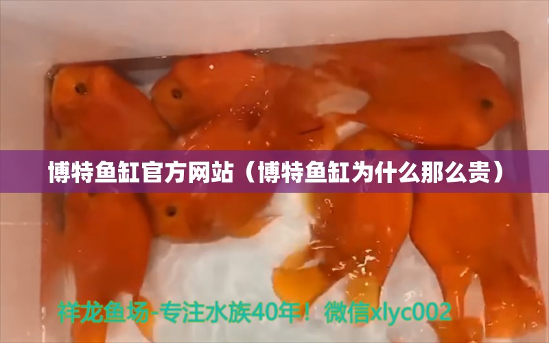 博特魚缸官方網(wǎng)站（博特魚缸為什么那么貴） 博特水族