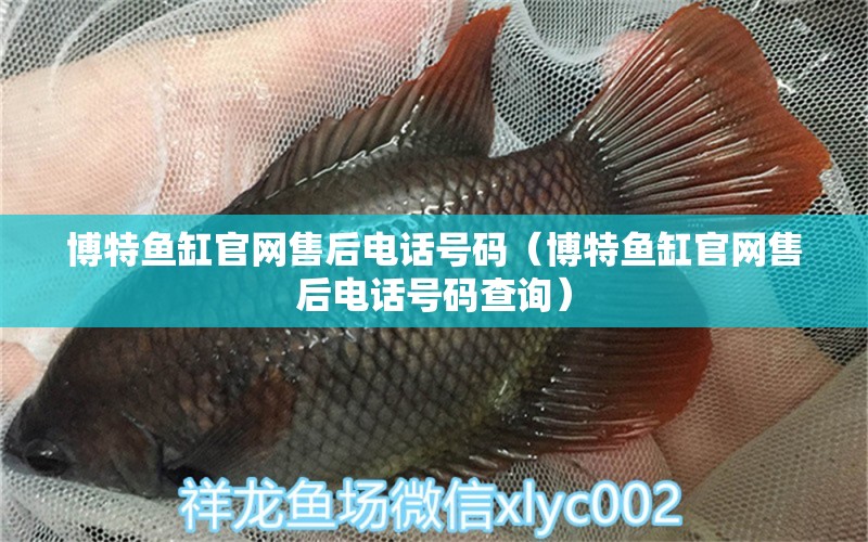 博特魚缸官網(wǎng)售后電話號碼（博特魚缸官網(wǎng)售后電話號碼查詢）