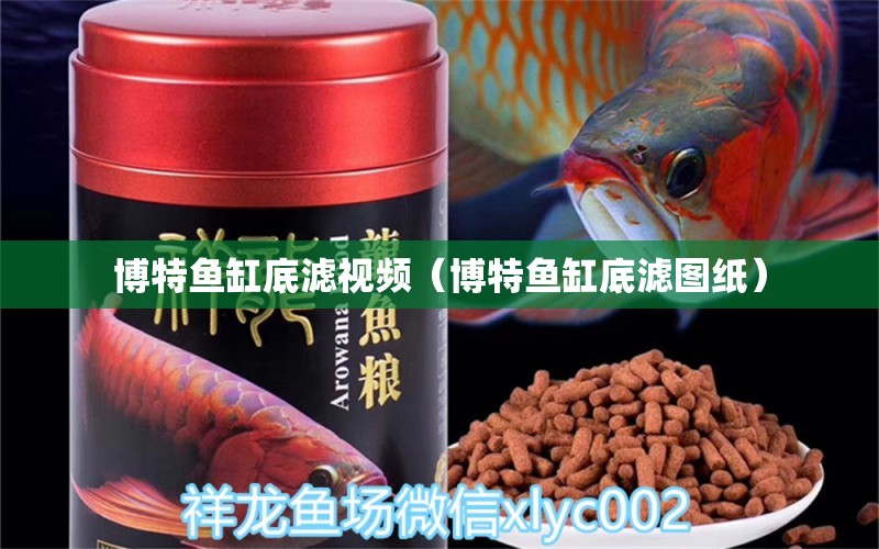 博特魚缸底濾視頻（博特魚缸底濾圖紙） 博特水族