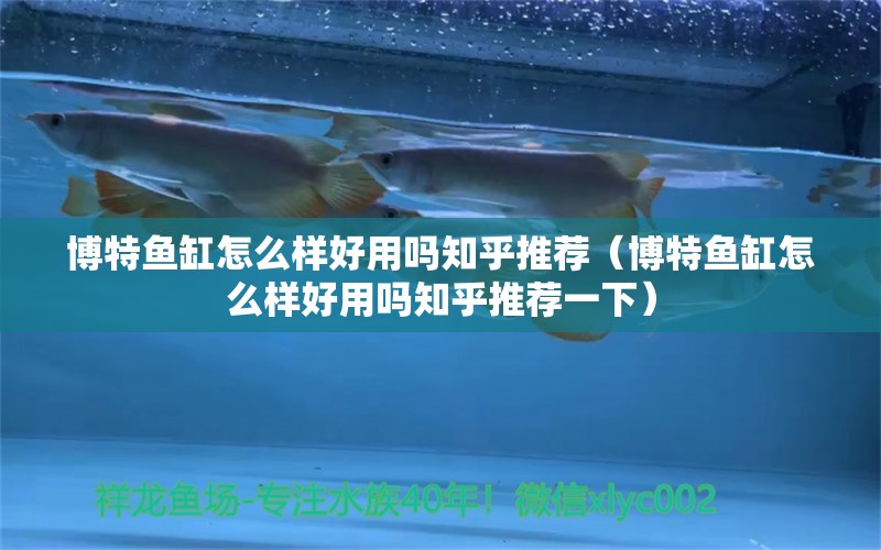 博特魚缸怎么樣好用嗎知乎推薦（博特魚缸怎么樣好用嗎知乎推薦一下） 博特水族