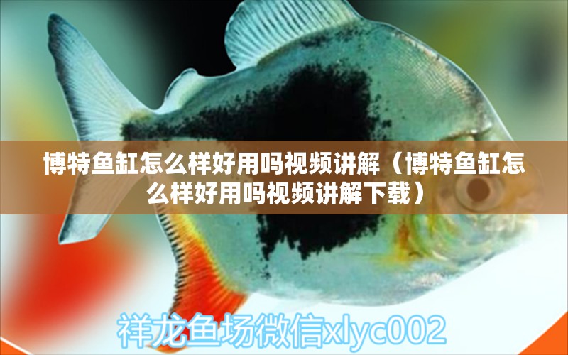 博特魚缸怎么樣好用嗎視頻講解（博特魚缸怎么樣好用嗎視頻講解下載）