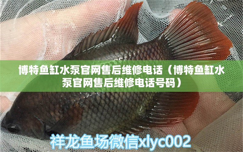 博特魚缸水泵官網(wǎng)售后維修電話（博特魚缸水泵官網(wǎng)售后維修電話號碼）