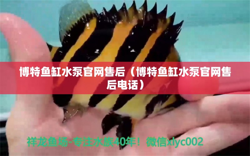 博特魚(yú)缸水泵官網(wǎng)售后（博特魚(yú)缸水泵官網(wǎng)售后電話(huà)） 博特水族