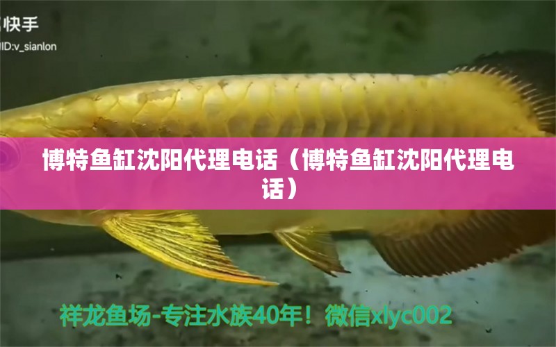 博特魚缸沈陽代理電話（博特魚缸沈陽代理電話） 博特水族