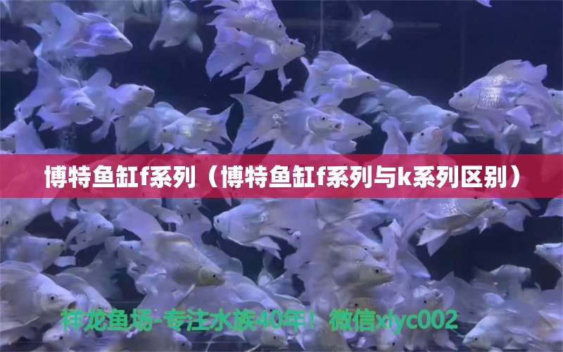 博特魚缸f系列（博特魚缸f系列與k系列區(qū)別） 博特水族