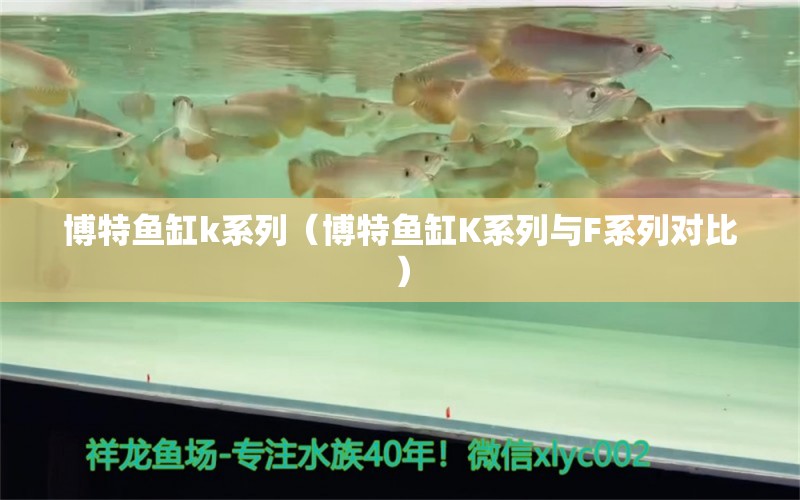 博特魚缸k系列（博特魚缸K系列與F系列對比）