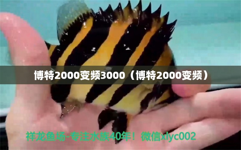 博特2000變頻3000（博特2000變頻）