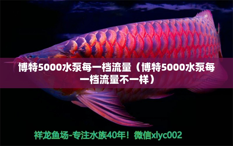 博特5000水泵每一檔流量（博特5000水泵每一檔流量不一樣） 博特水族