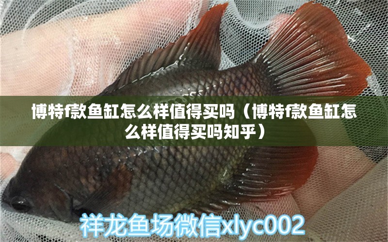 博特f款魚缸怎么樣值得買嗎（博特f款魚缸怎么樣值得買嗎知乎） 博特水族