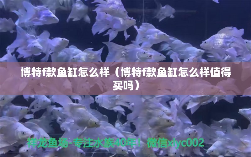 博特f款魚缸怎么樣（博特f款魚缸怎么樣值得買嗎）