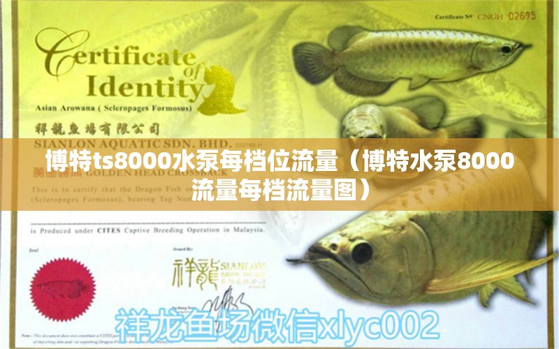 博特ts8000水泵每檔位流量（博特水泵8000流量每檔流量圖）