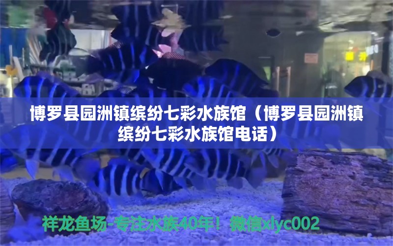 博羅縣園洲鎮(zhèn)繽紛七彩水族館（博羅縣園洲鎮(zhèn)繽紛七彩水族館電話）