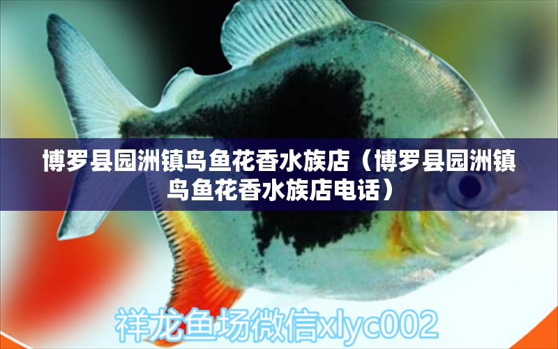 博羅縣園洲鎮(zhèn)鳥魚花香水族店（博羅縣園洲鎮(zhèn)鳥魚花香水族店電話）