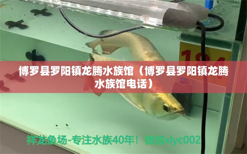 博羅縣羅陽鎮(zhèn)龍騰水族館（博羅縣羅陽鎮(zhèn)龍騰水族館電話） 全國水族館企業(yè)名錄