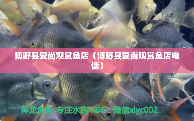 博野縣愛尚觀賞魚店（博野縣愛尚觀賞魚店電話） 全國水族館企業(yè)名錄