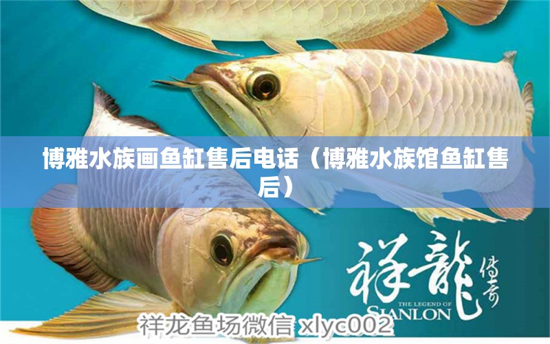 博雅水族畫魚缸售后電話（博雅水族館魚缸售后） 其他品牌魚缸