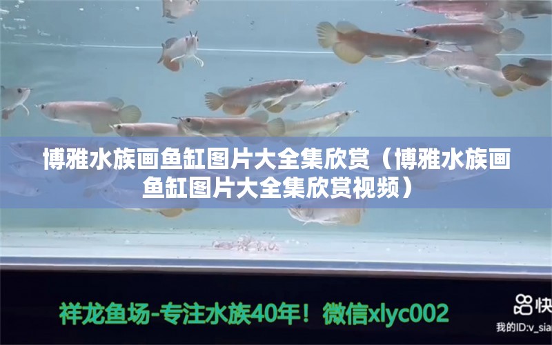 博雅水族畫魚缸圖片大全集欣賞（博雅水族畫魚缸圖片大全集欣賞視頻）