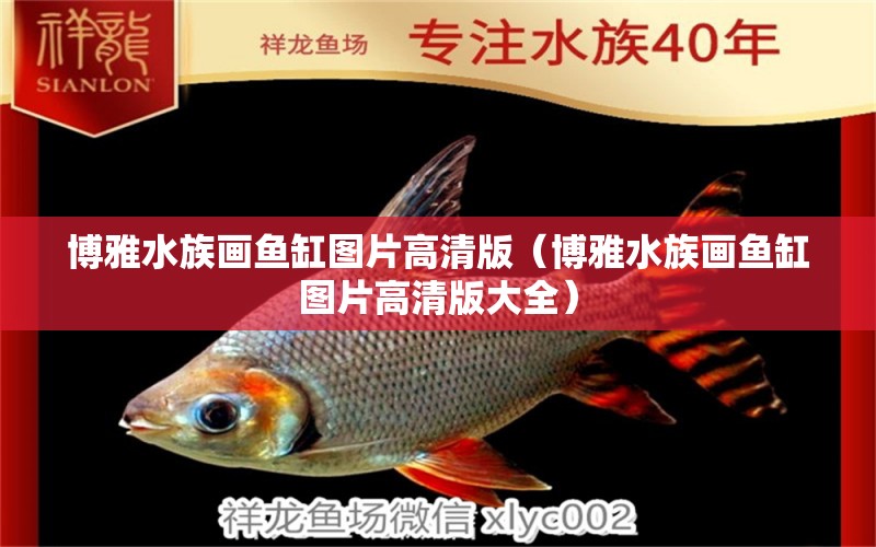 博雅水族畫魚缸圖片高清版（博雅水族畫魚缸圖片高清版大全）