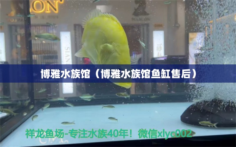 博雅水族館（博雅水族館魚缸售后） 全國水族館企業(yè)名錄