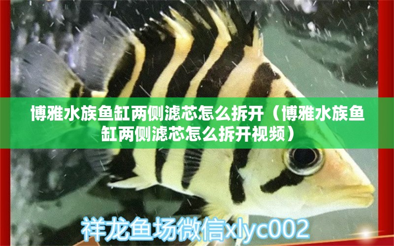 博雅水族魚缸兩側(cè)濾芯怎么拆開（博雅水族魚缸兩側(cè)濾芯怎么拆開視頻）