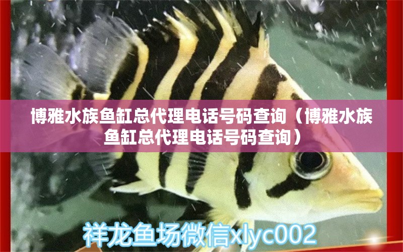 博雅水族魚缸總代理電話號碼查詢（博雅水族魚缸總代理電話號碼查詢）