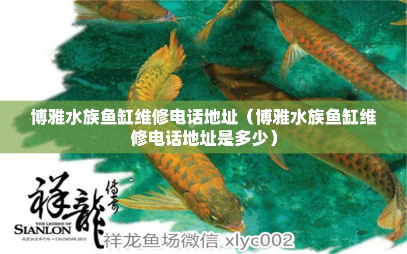 博雅水族魚缸維修電話地址（博雅水族魚缸維修電話地址是多少） 祥龍水族醫(yī)院