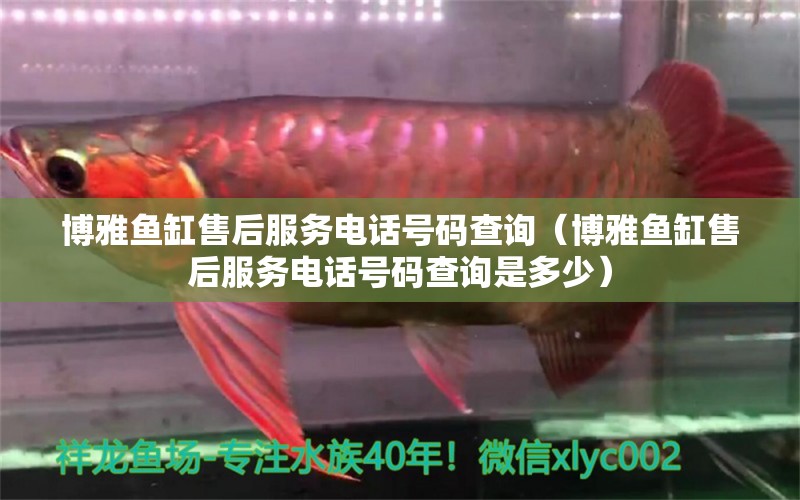 博雅魚缸售后服務(wù)電話號碼查詢（博雅魚缸售后服務(wù)電話號碼查詢是多少）