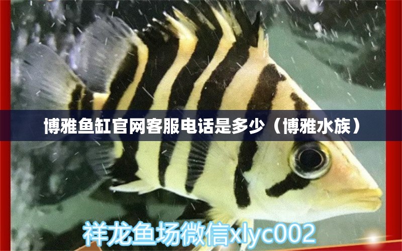 博雅魚缸官網(wǎng)客服電話是多少（博雅水族）