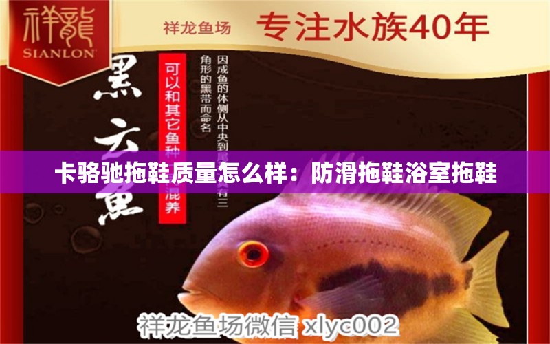 卡駱馳拖鞋質(zhì)量怎么樣：防滑拖鞋浴室拖鞋 觀賞魚