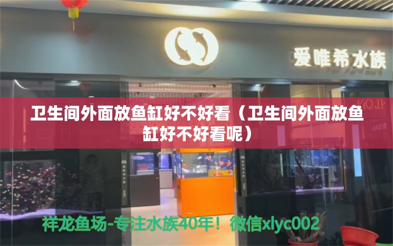 衛(wèi)生間外面放魚缸好不好看（衛(wèi)生間外面放魚缸好不好看呢） 祥龍水族醫(yī)院