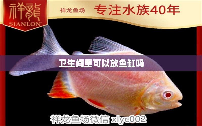 衛(wèi)生間里可以放魚缸嗎