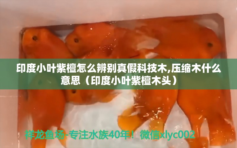 印度小葉紫檀怎么辨別真假科技木,壓縮木什么意思（印度小葉紫檀木頭） 文玩