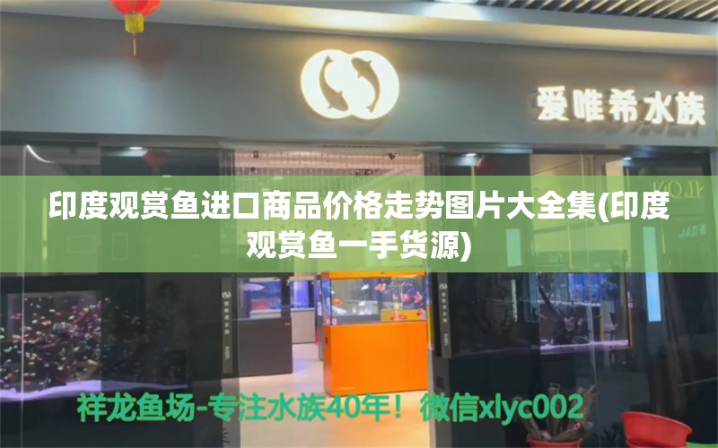 印度觀賞魚進口商品價格走勢圖片大全集(印度觀賞魚一手貨源) 觀賞魚進出口 第1張