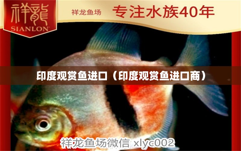 印度觀賞魚進口（印度觀賞魚進口商）