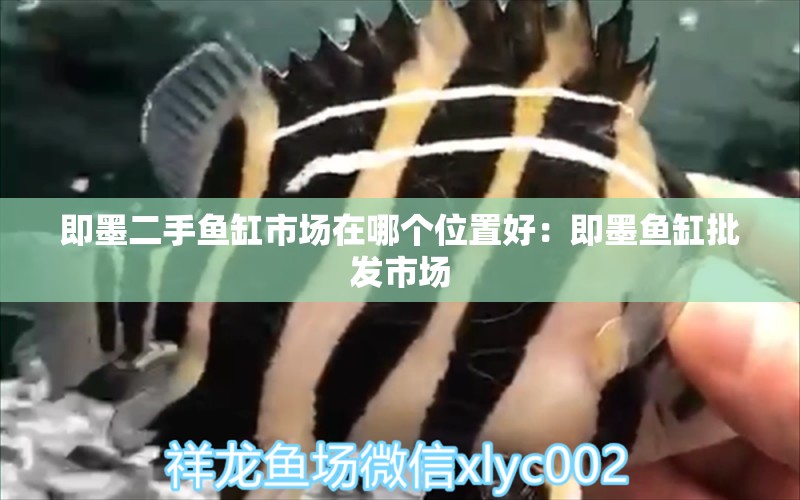 即墨二手魚(yú)缸市場(chǎng)在哪個(gè)位置好：即墨魚(yú)缸批發(fā)市場(chǎng)